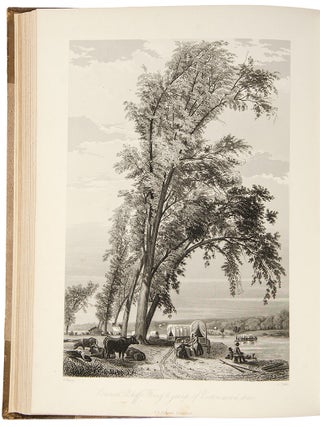 Route From Liverpool to Great Salt Lake Valley Illustrated with steel engravings and wood cuts from sketches made by Frederick Piercy...Together with a Geographical and Historical Description of Utah, and a Map of the Overland Routes to that Territory from the Missouri River. Also, an Authentic History of the Latter-Day Saints' Emigration from Europe