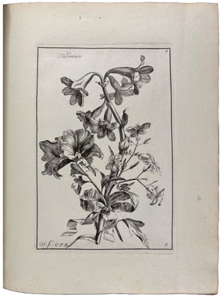 Livre de fleurs, dessin&eacute;es d&rsquo;apr&egrave;s nature, et grav&eacute;es par Vauquer