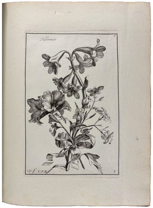 Livre de fleurs, dessinées d’après nature, et gravées par Vauquer