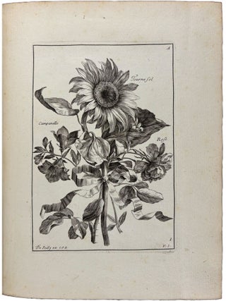 Livre de fleurs, dessin&eacute;es d&rsquo;apr&egrave;s nature, et grav&eacute;es par Vauquer