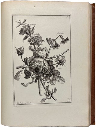Livre de fleurs, dessin&eacute;es d&rsquo;apr&egrave;s nature, et grav&eacute;es par Vauquer