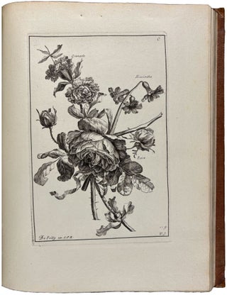 Livre de fleurs, dessinées d’après nature, et gravées par Vauquer