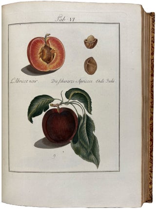 Pomona Franconica: Description Des Arbres Fruitiers, les plus connus et les plus estim&eacute;s en Europe, qui se cultivent maintenant Au Jardin De La Cour De Wurzbourg. [Pomona Franconica: oder nat&uuml;rliche Abbildung und Beschreibung der besten und vorz&uuml;glichsten Europ&auml;ischen Gattungen der Obstb&auml;ume und Fr&uuml;chte, welche in dem hochf&uuml;rstlichen Hofgarten zu W&uuml;rzburg gezogen werden]