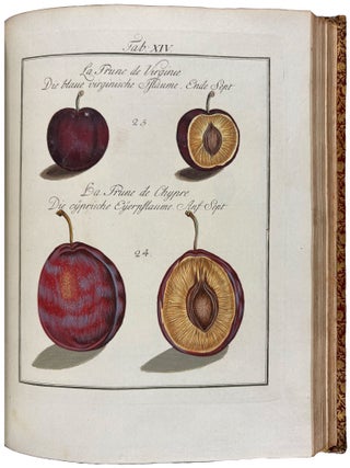 Pomona Franconica: Description Des Arbres Fruitiers, les plus connus et les plus estim&eacute;s en Europe, qui se cultivent maintenant Au Jardin De La Cour De Wurzbourg. [Pomona Franconica: oder nat&uuml;rliche Abbildung und Beschreibung der besten und vorz&uuml;glichsten Europ&auml;ischen Gattungen der Obstb&auml;ume und Fr&uuml;chte, welche in dem hochf&uuml;rstlichen Hofgarten zu W&uuml;rzburg gezogen werden]