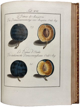 Pomona Franconica: Description Des Arbres Fruitiers, les plus connus et les plus estim&eacute;s en Europe, qui se cultivent maintenant Au Jardin De La Cour De Wurzbourg. [Pomona Franconica: oder nat&uuml;rliche Abbildung und Beschreibung der besten und vorz&uuml;glichsten Europ&auml;ischen Gattungen der Obstb&auml;ume und Fr&uuml;chte, welche in dem hochf&uuml;rstlichen Hofgarten zu W&uuml;rzburg gezogen werden]