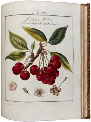 Pomona Franconica: Description Des Arbres Fruitiers, les plus connus et les plus estim&eacute;s en Europe, qui se cultivent maintenant Au Jardin De La Cour De Wurzbourg. [Pomona Franconica: oder nat&uuml;rliche Abbildung und Beschreibung der besten und vorz&uuml;glichsten Europ&auml;ischen Gattungen der Obstb&auml;ume und Fr&uuml;chte, welche in dem hochf&uuml;rstlichen Hofgarten zu W&uuml;rzburg gezogen werden]