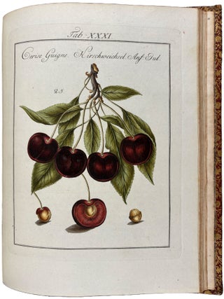 Pomona Franconica: Description Des Arbres Fruitiers, les plus connus et les plus estim&eacute;s en Europe, qui se cultivent maintenant Au Jardin De La Cour De Wurzbourg. [Pomona Franconica: oder nat&uuml;rliche Abbildung und Beschreibung der besten und vorz&uuml;glichsten Europ&auml;ischen Gattungen der Obstb&auml;ume und Fr&uuml;chte, welche in dem hochf&uuml;rstlichen Hofgarten zu W&uuml;rzburg gezogen werden]