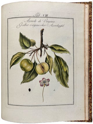 Pomona Franconica: Description Des Arbres Fruitiers, les plus connus et les plus estim&eacute;s en Europe, qui se cultivent maintenant Au Jardin De La Cour De Wurzbourg. [Pomona Franconica: oder nat&uuml;rliche Abbildung und Beschreibung der besten und vorz&uuml;glichsten Europ&auml;ischen Gattungen der Obstb&auml;ume und Fr&uuml;chte, welche in dem hochf&uuml;rstlichen Hofgarten zu W&uuml;rzburg gezogen werden]