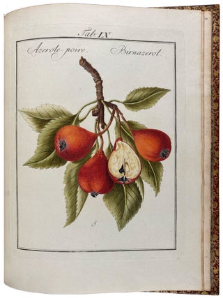 Pomona Franconica: Description Des Arbres Fruitiers, les plus connus et les plus estim&eacute;s en Europe, qui se cultivent maintenant Au Jardin De La Cour De Wurzbourg. [Pomona Franconica: oder nat&uuml;rliche Abbildung und Beschreibung der besten und vorz&uuml;glichsten Europ&auml;ischen Gattungen der Obstb&auml;ume und Fr&uuml;chte, welche in dem hochf&uuml;rstlichen Hofgarten zu W&uuml;rzburg gezogen werden]
