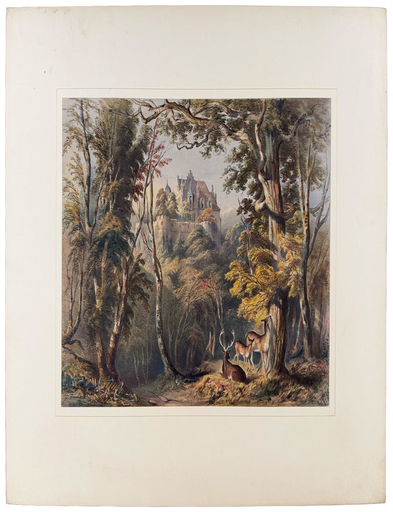 Item #42562 Views of the Ducal Palaces and Hunting Seats of Saxe Coburg and Gotha. Douglas MORISON.