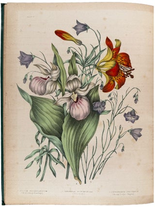 Canadian Wild Flowers. Painted and Lithographed by Agnes Fitzgibbon With Botanical Descriptions By C.P.Traill