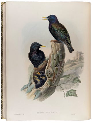 The Birds of Great Britain
