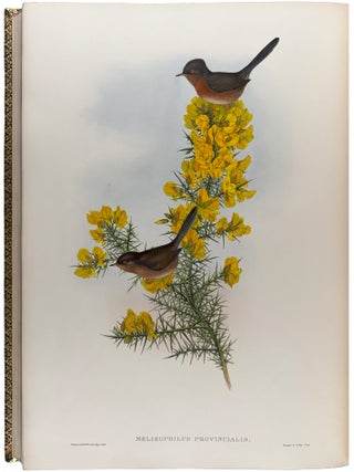 The Birds of Great Britain