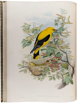 The Birds of Great Britain