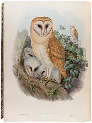 The Birds of Great Britain