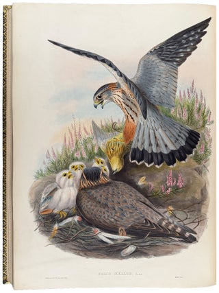 The Birds of Great Britain