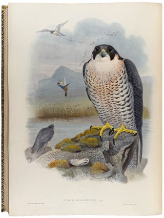 The Birds of Great Britain
