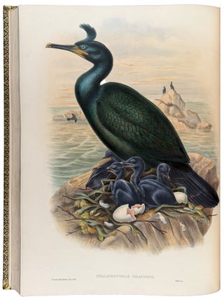 The Birds of Great Britain