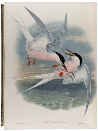 The Birds of Great Britain
