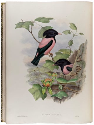 The Birds of Great Britain