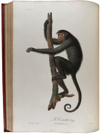 Histoire Naturelle des Singes et des Makis