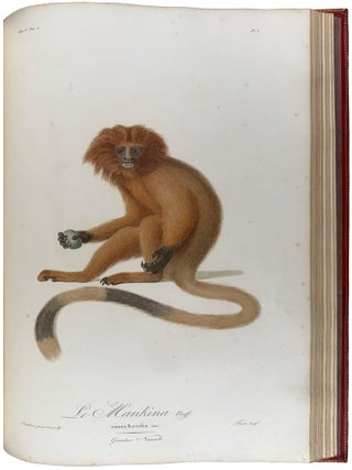 Histoire Naturelle des Singes et des Makis