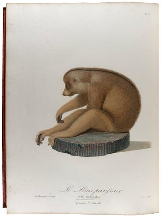 Histoire Naturelle des Singes et des Makis