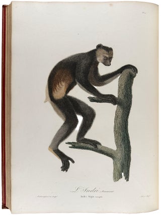 Histoire Naturelle des Singes et des Makis