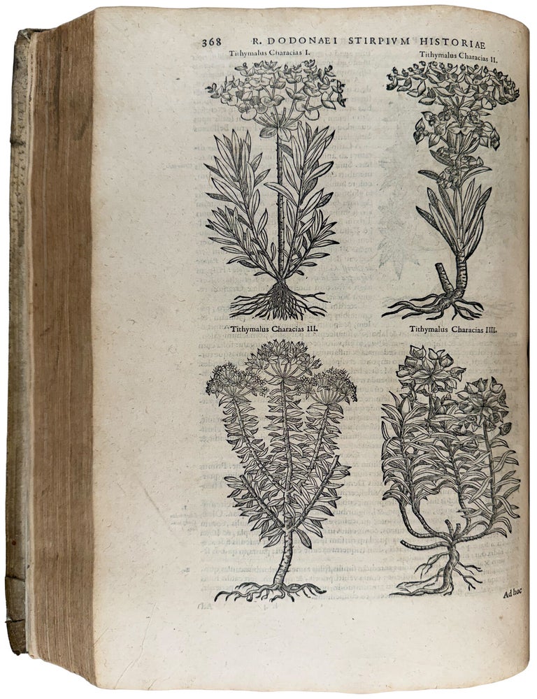 Item #42756 Stirpium historiae pemptades sex Sive Libri xxx. Rembert DODOENS.