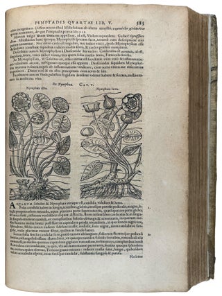 Stirpium historiae pemptades sex Sive Libri xxx
