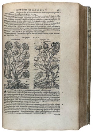 Stirpium historiae pemptades sex Sive Libri xxx