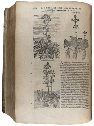 Stirpium historiae pemptades sex Sive Libri xxx