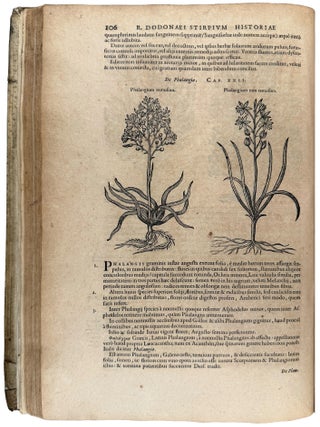 Stirpium historiae pemptades sex Sive Libri xxx