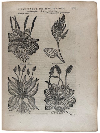 Stirpium historiae pemptades sex Sive Libri xxx