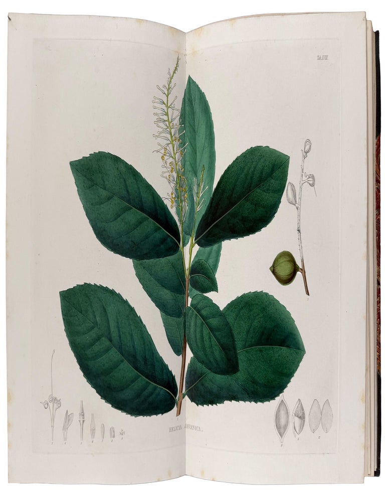 Item #42759 Plant&aelig; Javanic&aelig; Rariores, descript&aelig; iconibusque illustrat&aelig;, quas in insula Java, annis 1802-1818, legit et investigavit. Thomas HORSFIELD, John Joseph BENNETT, Robert BROWN.