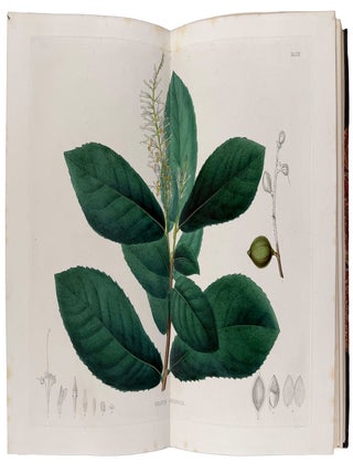Item #42759 Plant&aelig; Javanic&aelig; Rariores, descript&aelig; iconibusque illustrat&aelig;, quas in insula Java,...