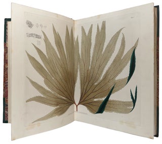 Plantæ Javanicæ Rariores, descriptæ iconibusque illustratæ, quas in insula Java, annis 1802-1818, legit et investigavit