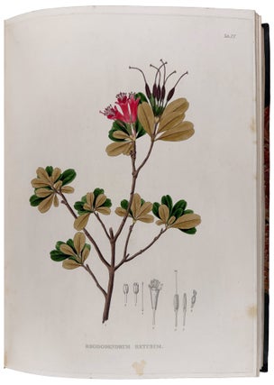Plantæ Javanicæ Rariores, descriptæ iconibusque illustratæ, quas in insula Java, annis 1802-1818, legit et investigavit