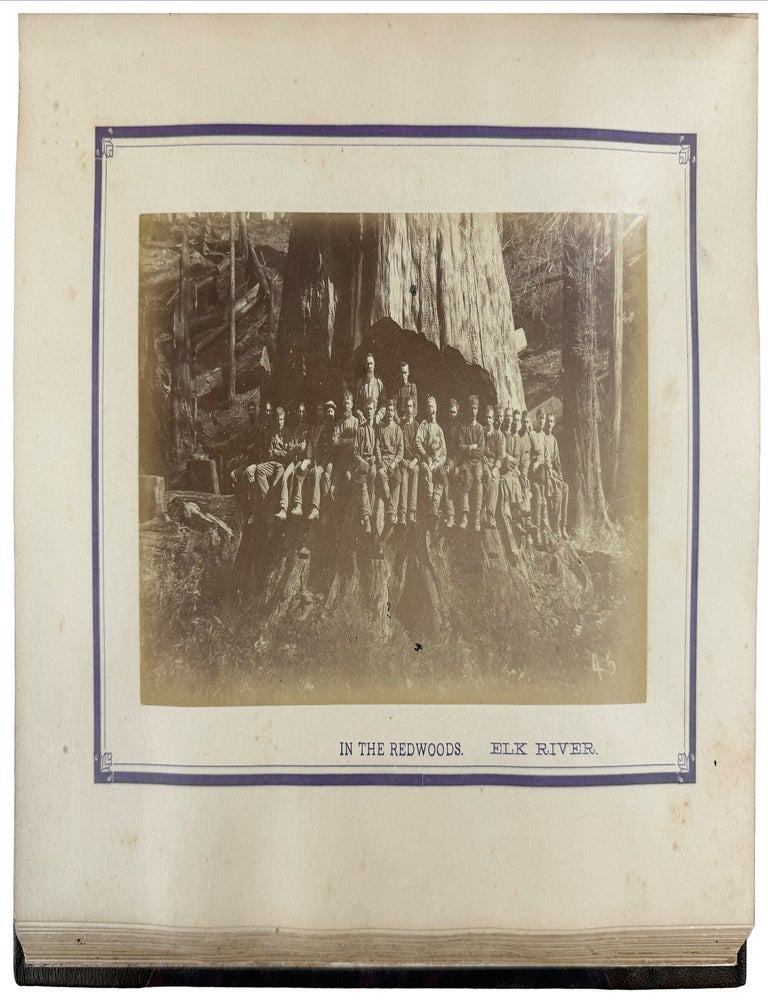 Item #42794 Redwood and Lumbering in California Forests. With illustrations. Edgar CHERRY.