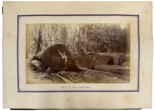 Redwood and Lumbering in California Forests. With illustrations