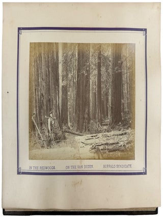 Redwood and Lumbering in California Forests. With illustrations