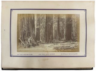Redwood and Lumbering in California Forests. With illustrations