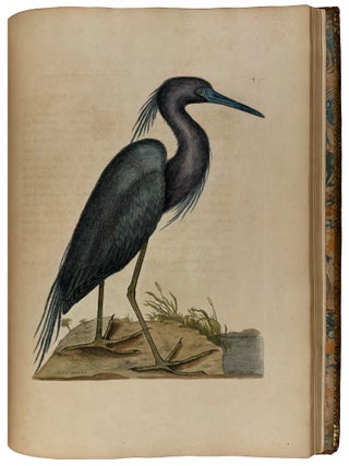 The Natural History of Carolina, Florida, and the Bahama Islands: containing the figures of birds, beasts, fishes, serpents, insects, and plants; particularly, those not hitherto described, or incorrectly figured by former authors, with their descriptions in English and French