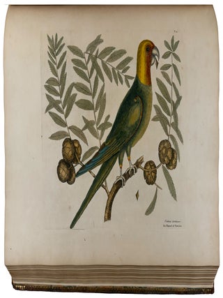 The Natural History of Carolina, Florida, and the Bahama Islands: containing the figures of birds, beasts, fishes, serpents, insects, and plants; particularly, those not hitherto described, or incorrectly figured by former authors, with their descriptions in English and French