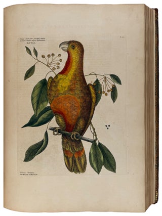 The Natural History of Carolina, Florida, and the Bahama Islands: containing the figures of birds, beasts, fishes, serpents, insects, and plants; particularly, those not hitherto described, or incorrectly figured by former authors, with their descriptions in English and French