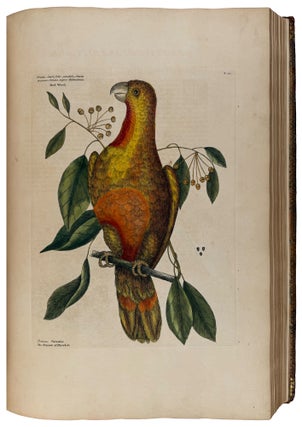 The Natural History of Carolina, Florida, and the Bahama Islands: containing the figures of birds, beasts, fishes, serpents, insects, and plants; particularly, those not hitherto described, or incorrectly figured by former authors, with their descriptions in English and French