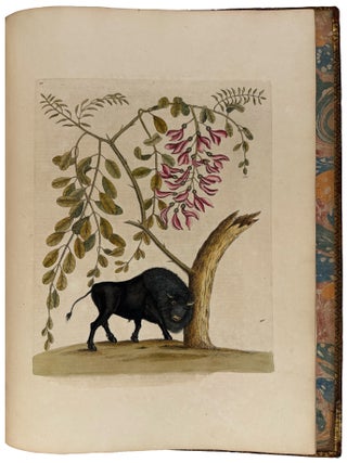 The Natural History of Carolina, Florida, and the Bahama Islands: containing the figures of birds, beasts, fishes, serpents, insects, and plants; particularly, those not hitherto described, or incorrectly figured by former authors, with their descriptions in English and French