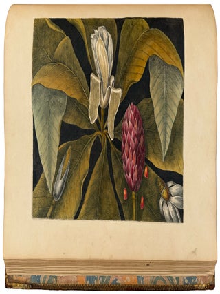 The Natural History of Carolina, Florida, and the Bahama Islands: containing the figures of birds, beasts, fishes, serpents, insects, and plants; particularly, those not hitherto described, or incorrectly figured by former authors, with their descriptions in English and French