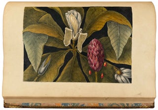 The Natural History of Carolina, Florida, and the Bahama Islands: containing the figures of birds, beasts, fishes, serpents, insects, and plants; particularly, those not hitherto described, or incorrectly figured by former authors, with their descriptions in English and French