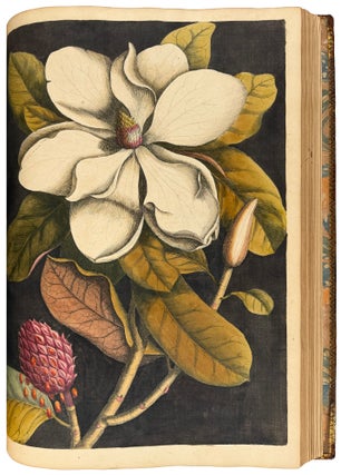 The Natural History of Carolina, Florida, and the Bahama Islands: containing the figures of birds, beasts, fishes, serpents, insects, and plants; particularly, those not hitherto described, or incorrectly figured by former authors, with their descriptions in English and French